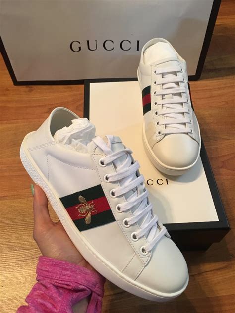 tenisi gucci